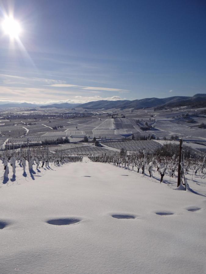 Au Coeur Des Vignes Apartamento Bergheim Exterior foto