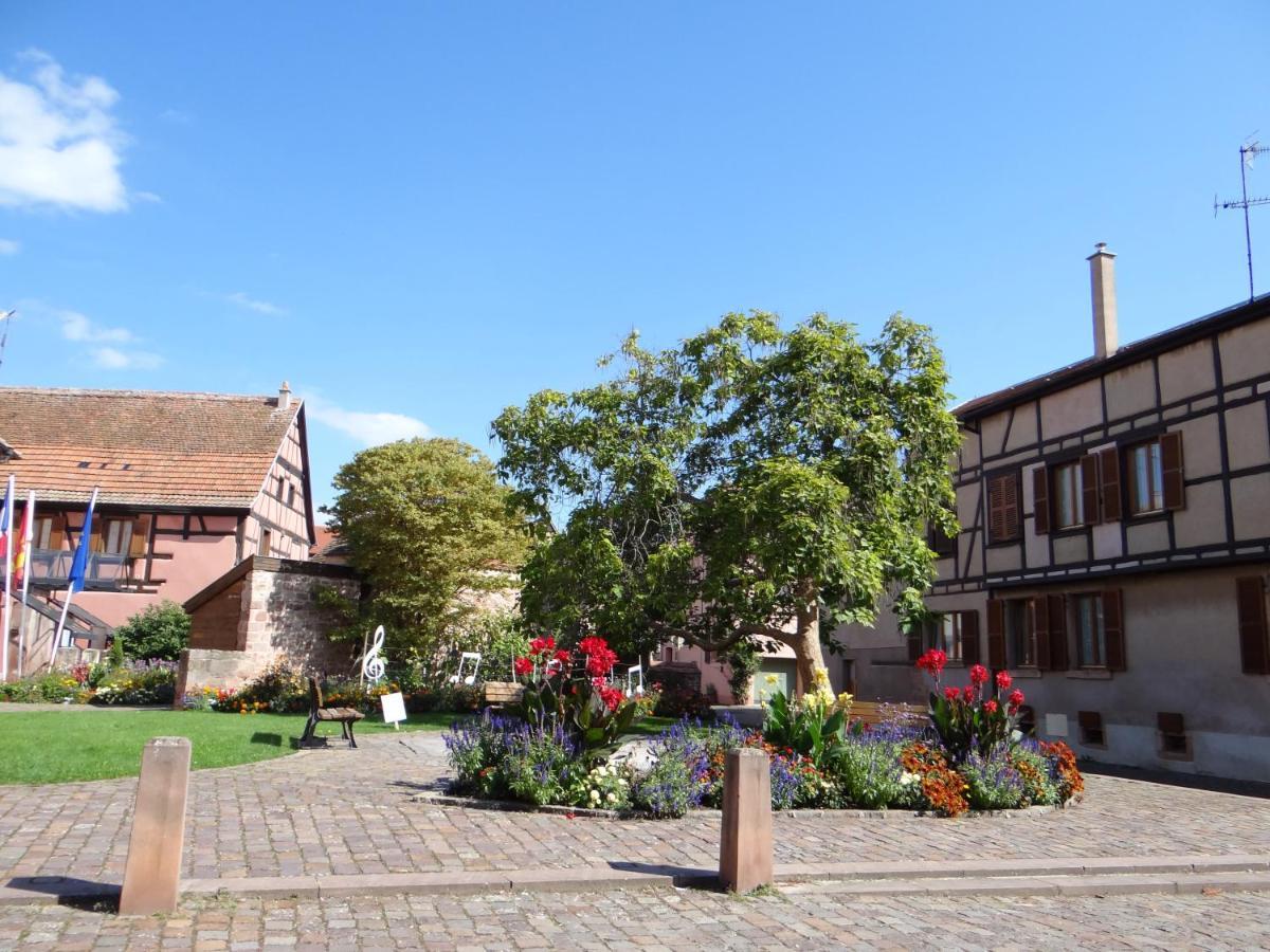Au Coeur Des Vignes Apartamento Bergheim Exterior foto