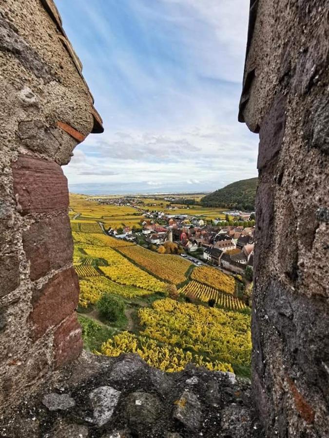 Au Coeur Des Vignes Apartamento Bergheim Exterior foto