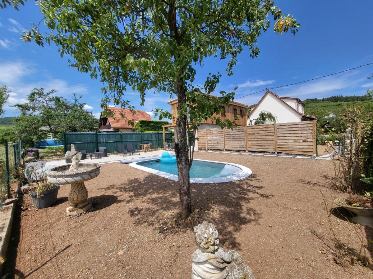 Au Coeur Des Vignes Apartamento Bergheim Exterior foto
