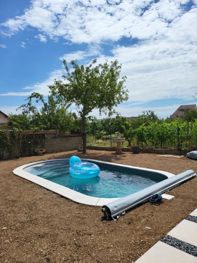 Au Coeur Des Vignes Apartamento Bergheim Exterior foto